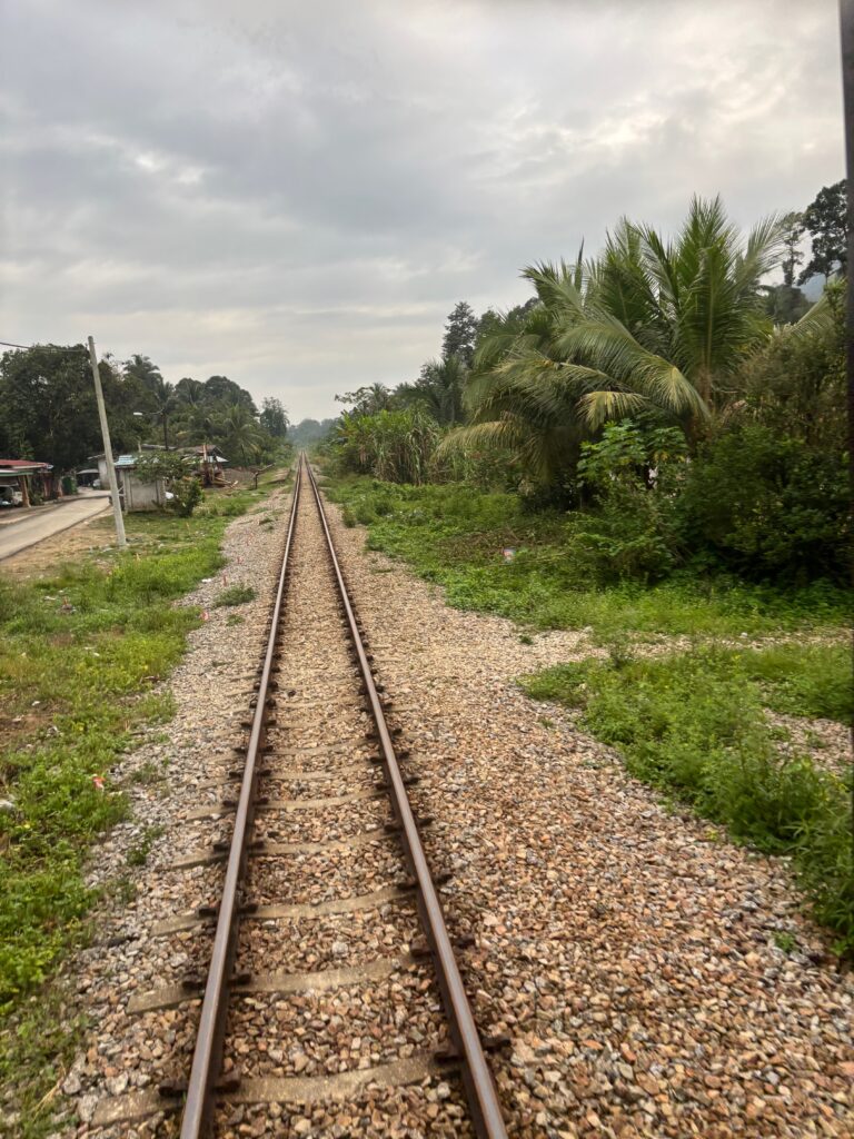 train tracks in a wooded area