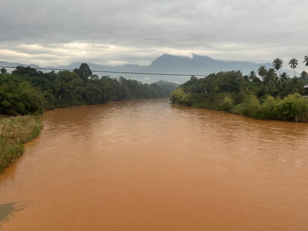 a river with trees and mountains in the background