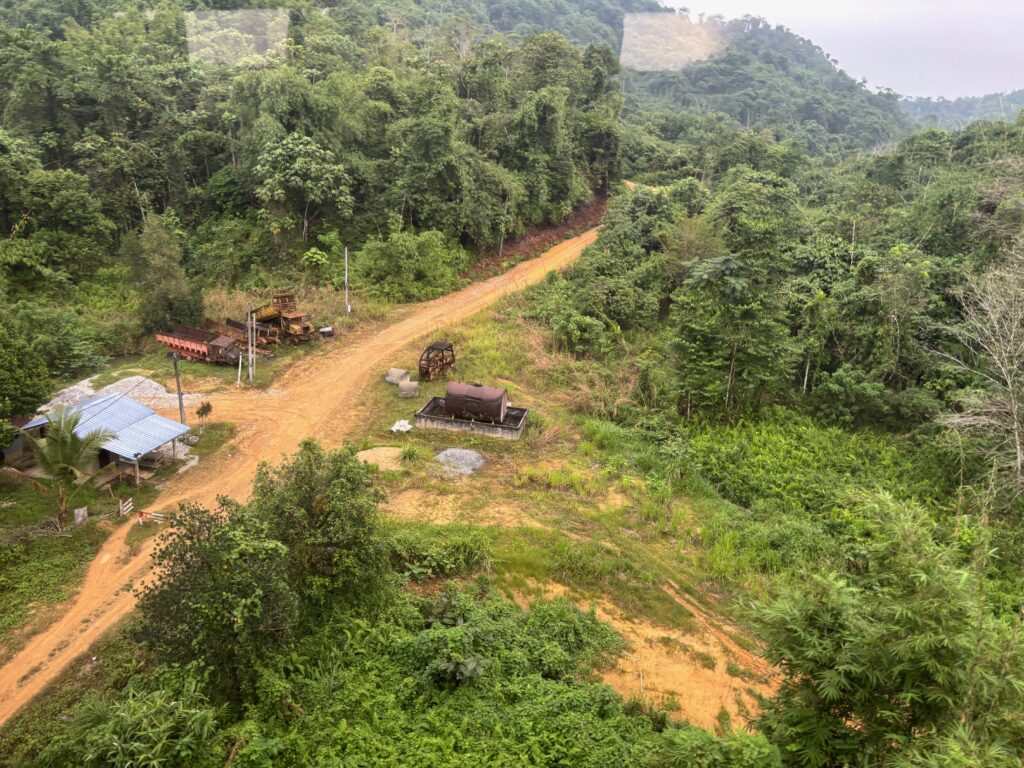 a dirt road surrounded by trees