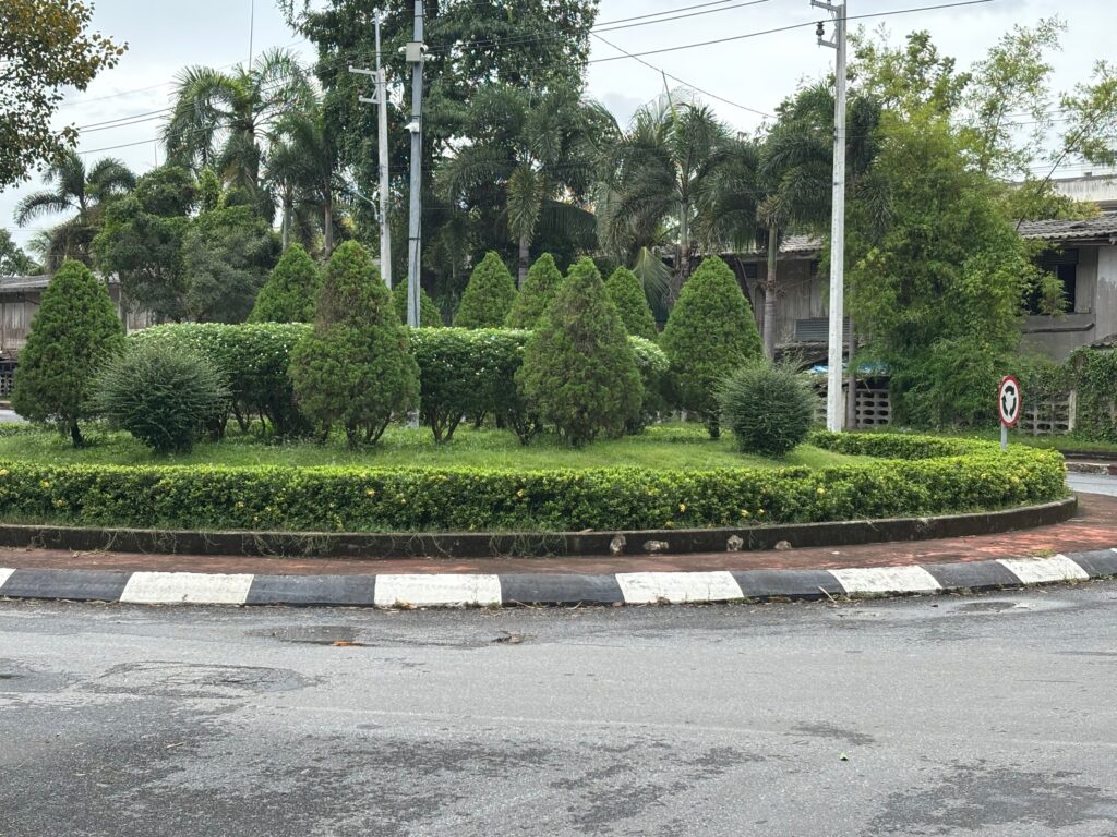 a circular bushy area with bushes around it