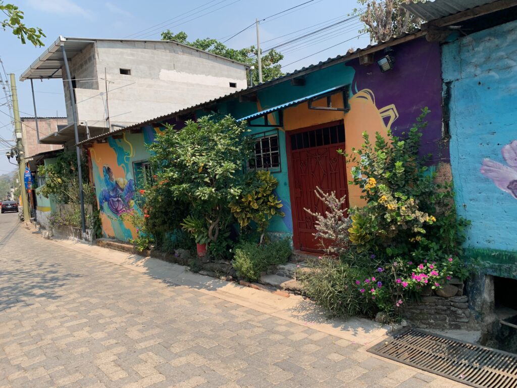 a colorful building with a door and plants on the side