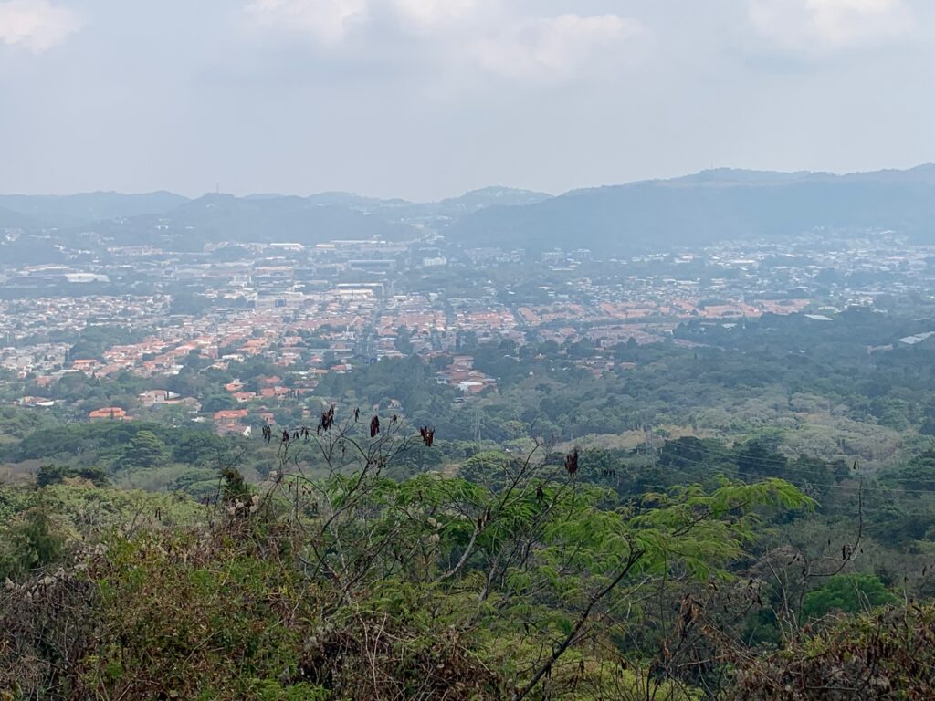 a view of a city from a mountain