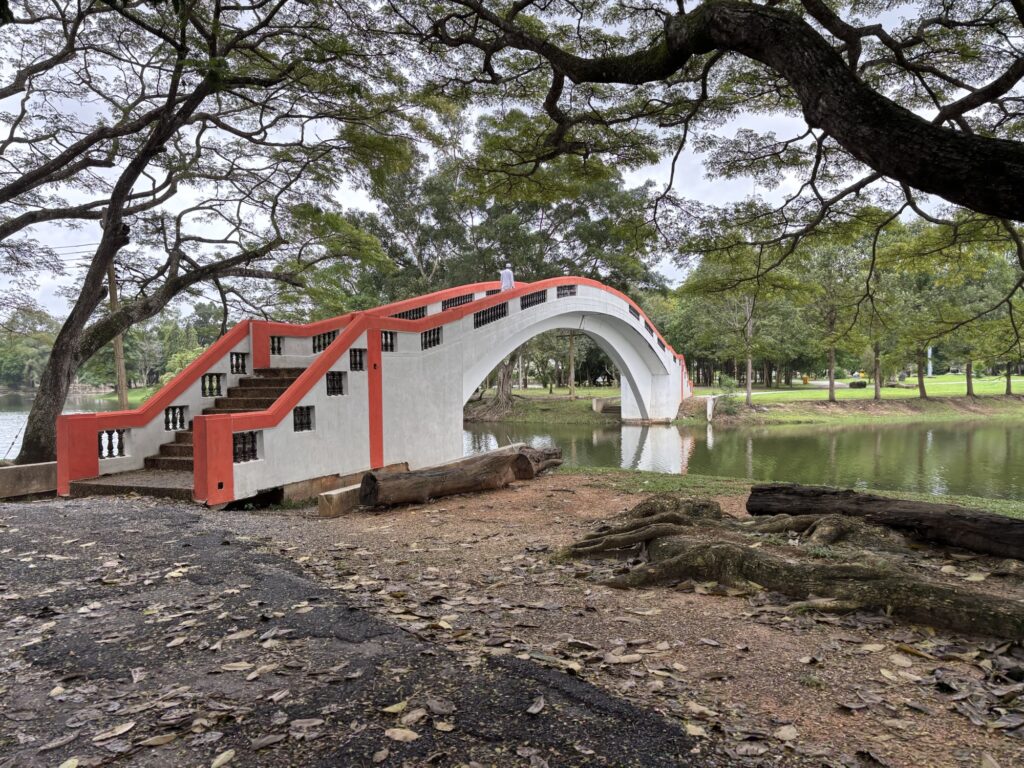 a bridge over water with trees and grass