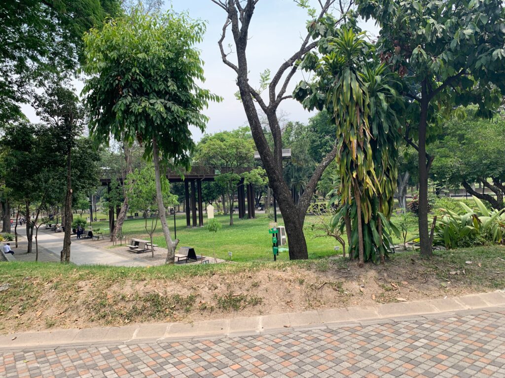 a park with trees and benches