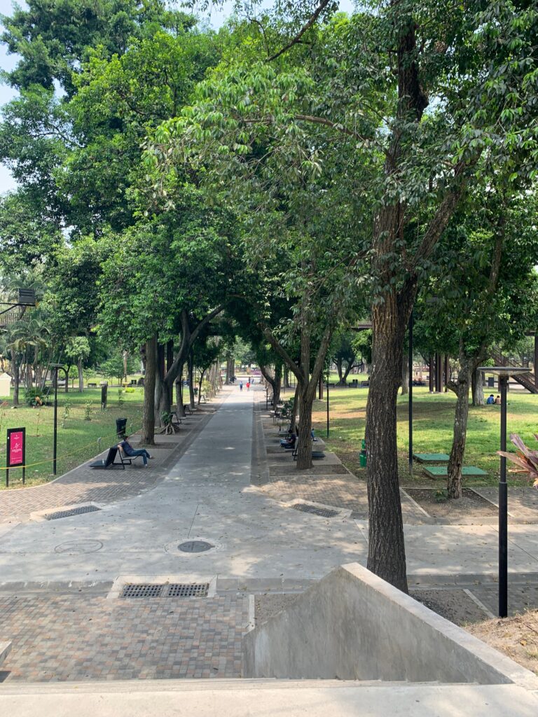 a path with benches and trees