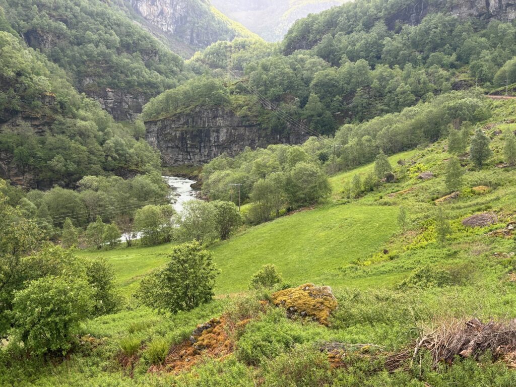 a green hills with trees and a river