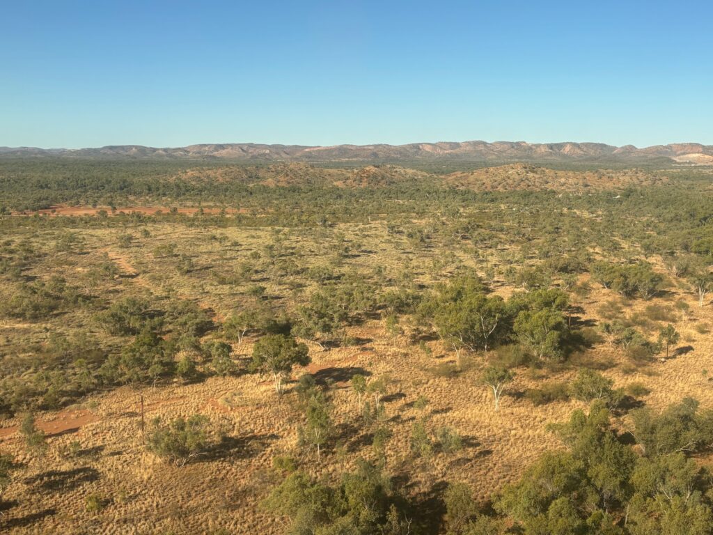 a landscape with trees and hills