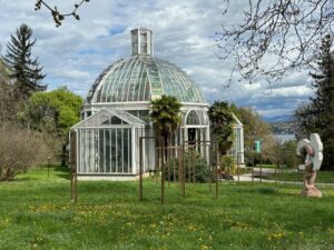 a glass house with a domed roof