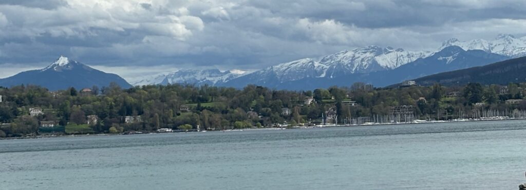 a body of water with trees and mountains in the background