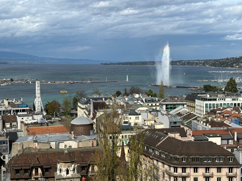 a city with a fountain in the water