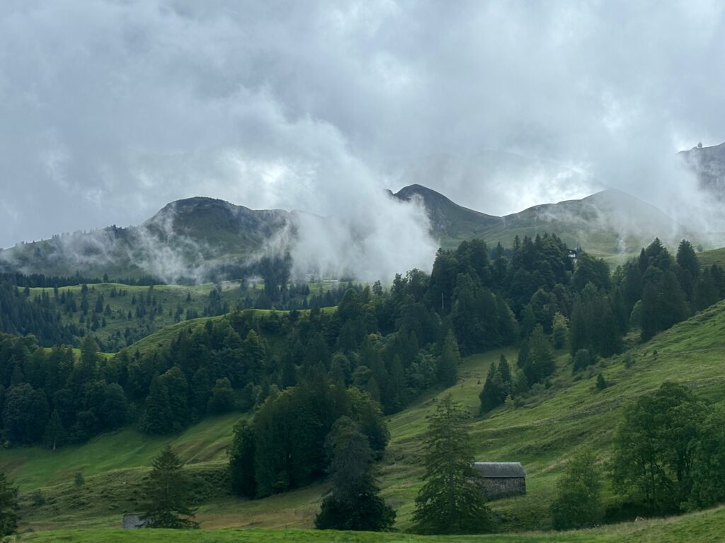 a green hills with trees and clouds