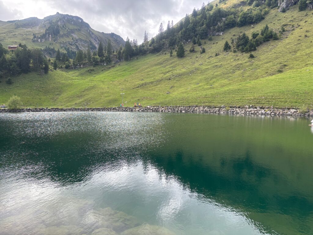 a body of water with a hill and trees