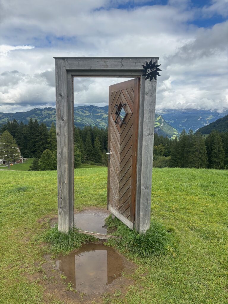 a wooden door in a grassy area