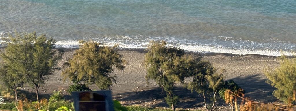 a beach with trees and water