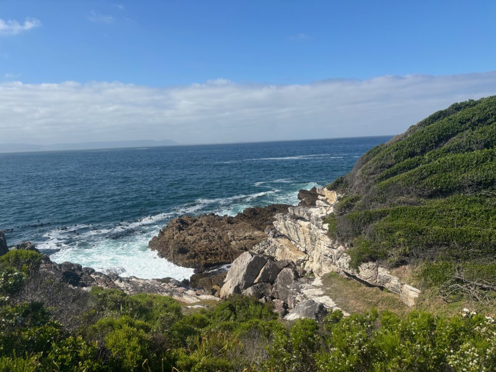 a rocky coast with a body of water and bushes