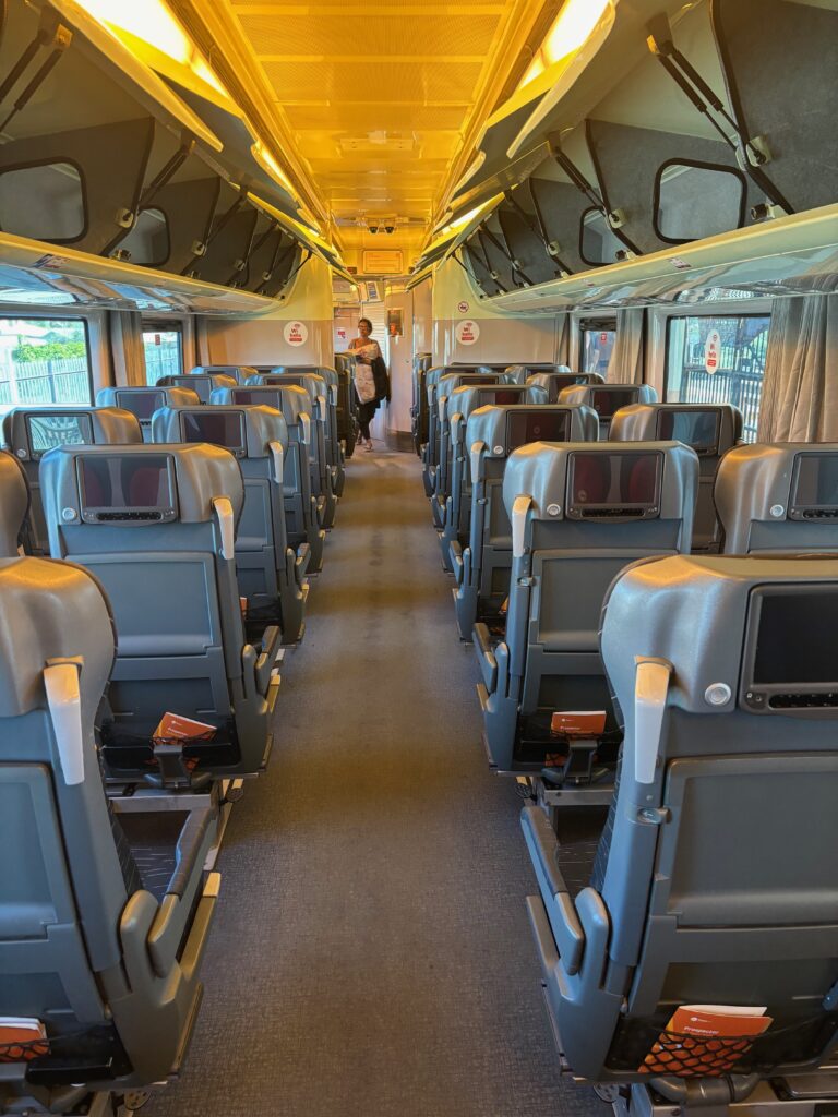 a person standing in a train