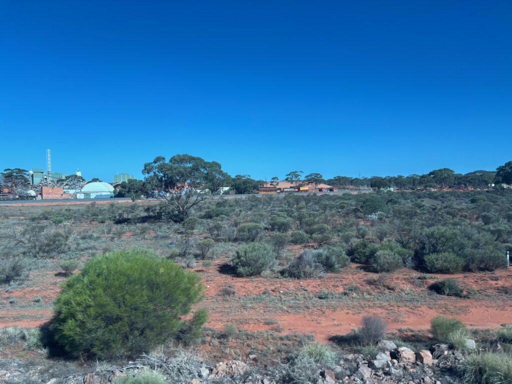 a landscape with bushes and buildings in the background