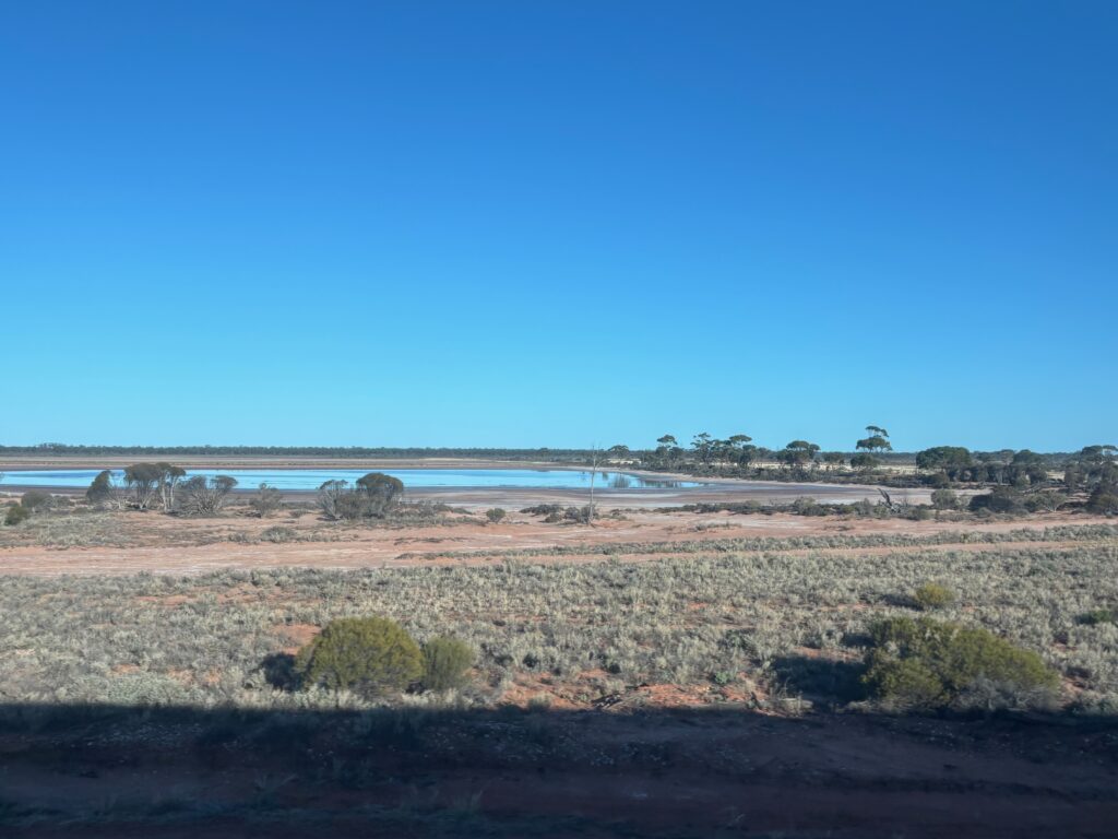 a landscape with a pond and trees