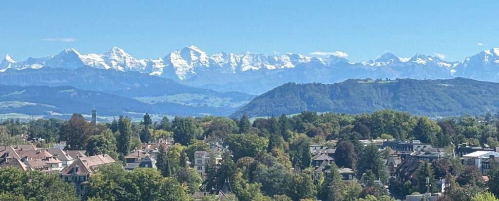 a city with trees and mountains in the background