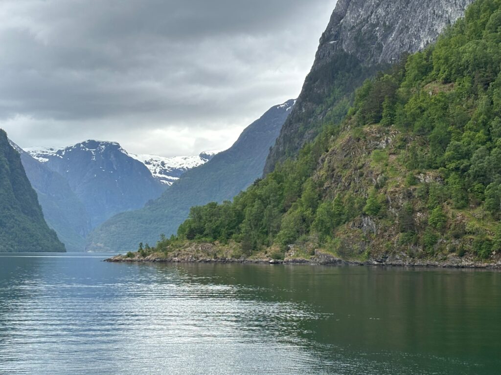 a body of water with mountains and trees