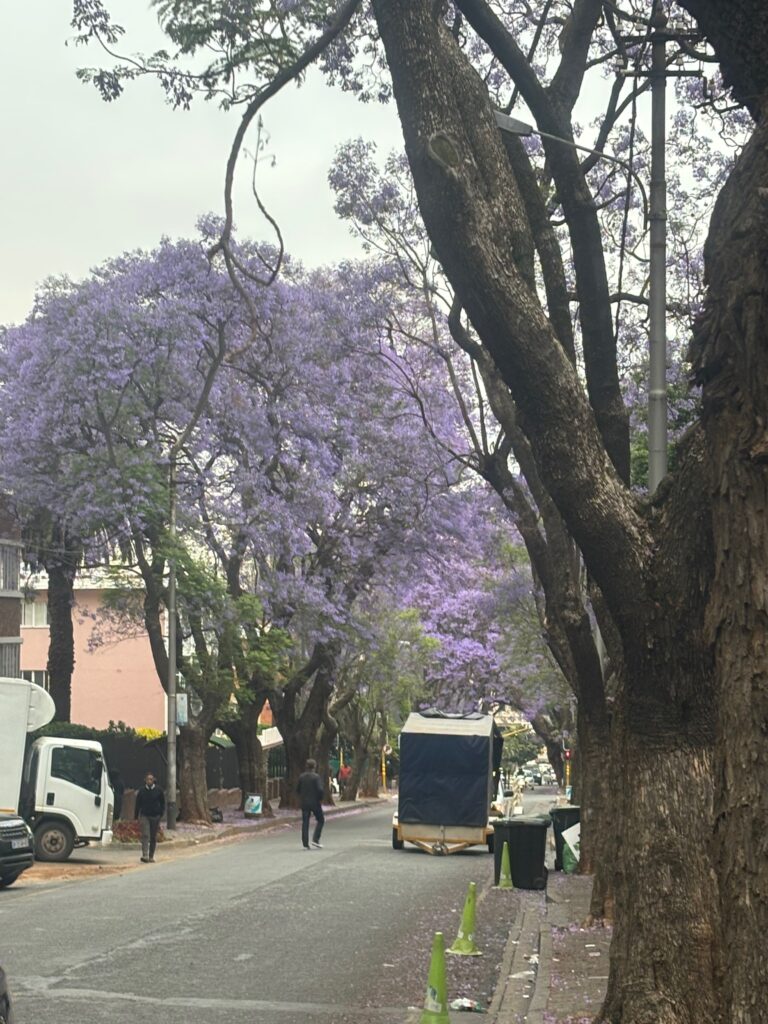 a street with trees and people walking on it