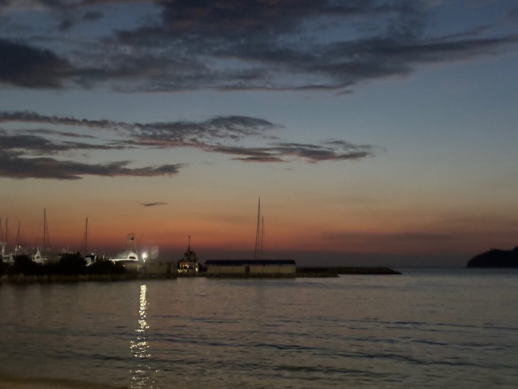 a body of water with buildings and boats in the distance