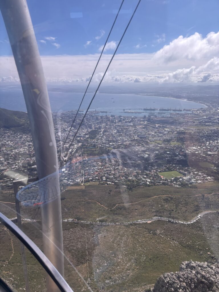 a view of a city from a cable car
