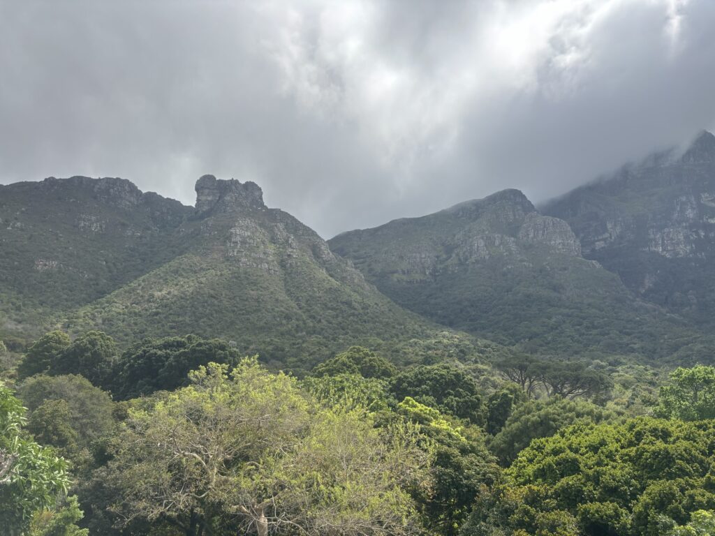 a mountain range with trees and clouds