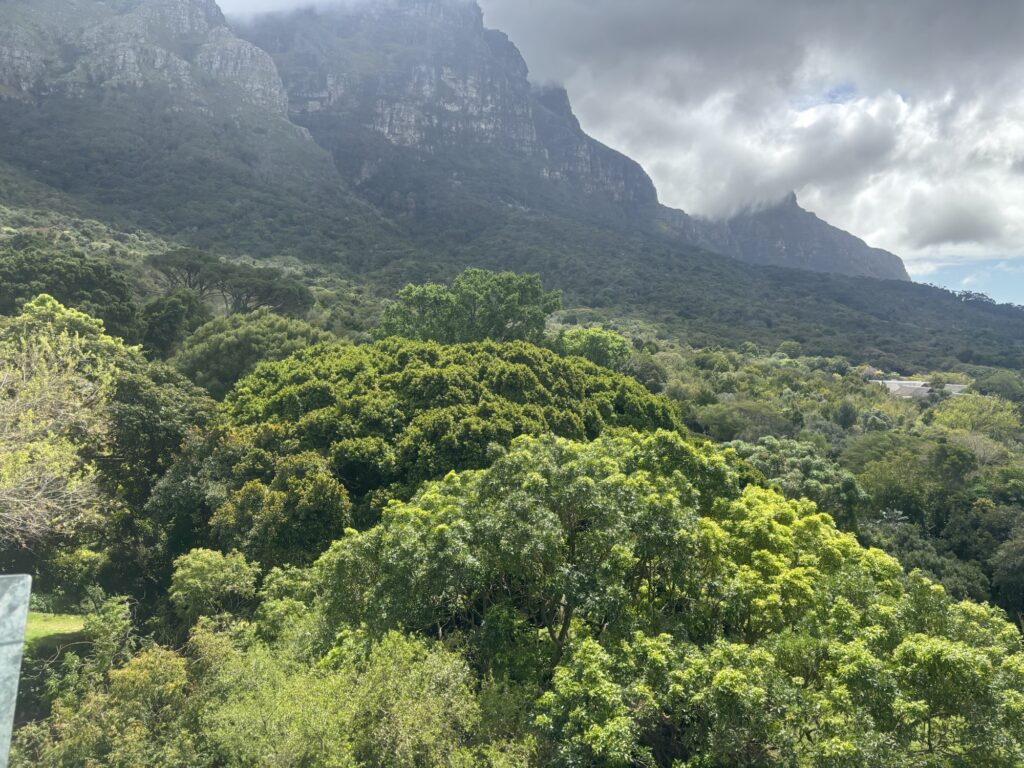 a landscape of trees and mountains