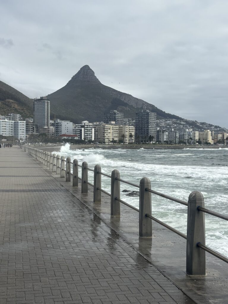 a city next to a body of water