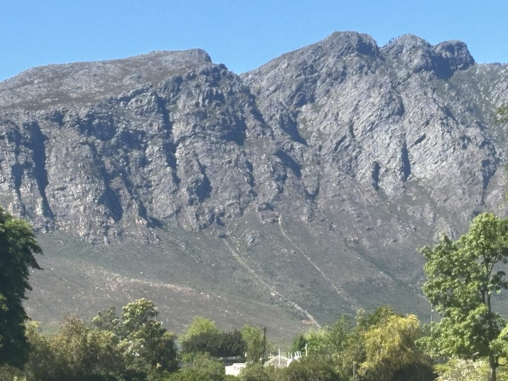 a mountain with trees and a blue sky