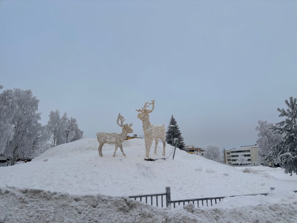 a group of reindeers on a snowy hill