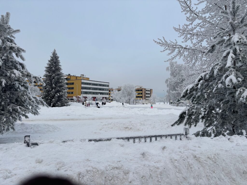 a snow covered ground with trees and buildings