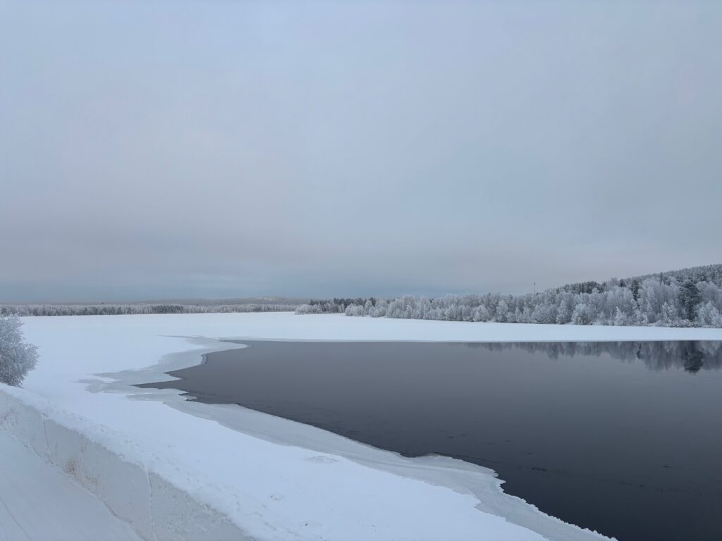 a body of water with snow and trees in the background