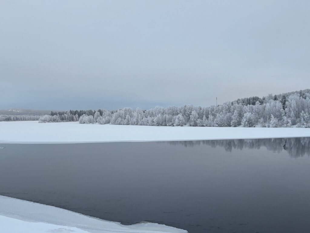 a body of water with snow covered trees