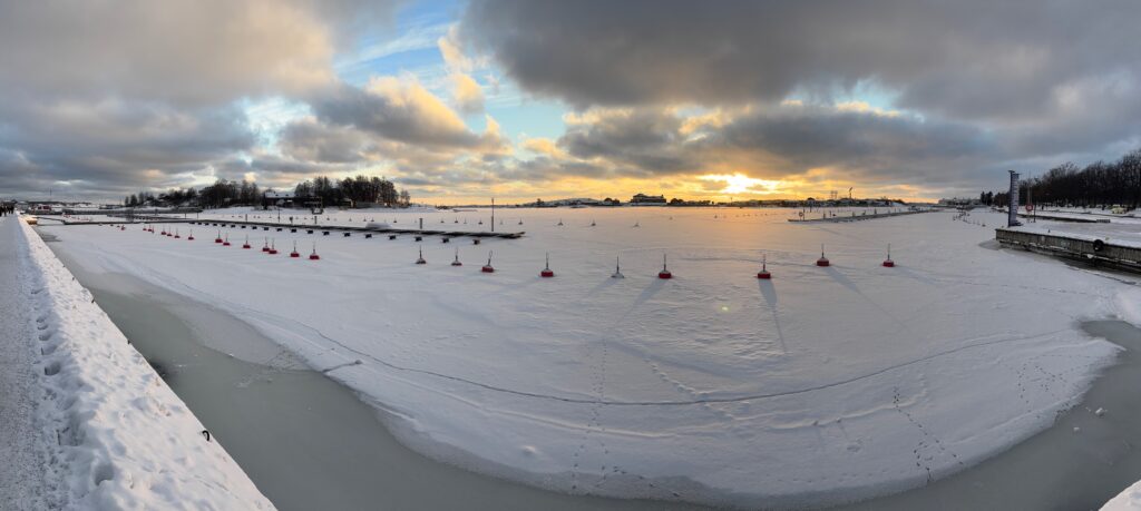 a snow covered field with a group of birds on it