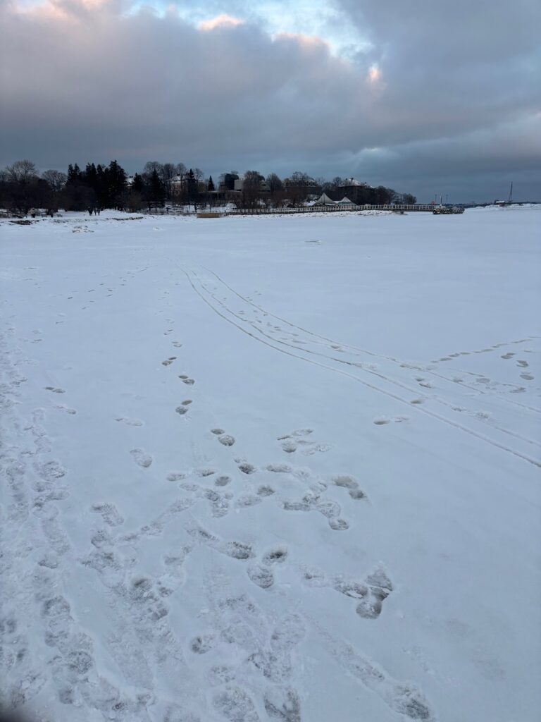 footprints tracks in the snow