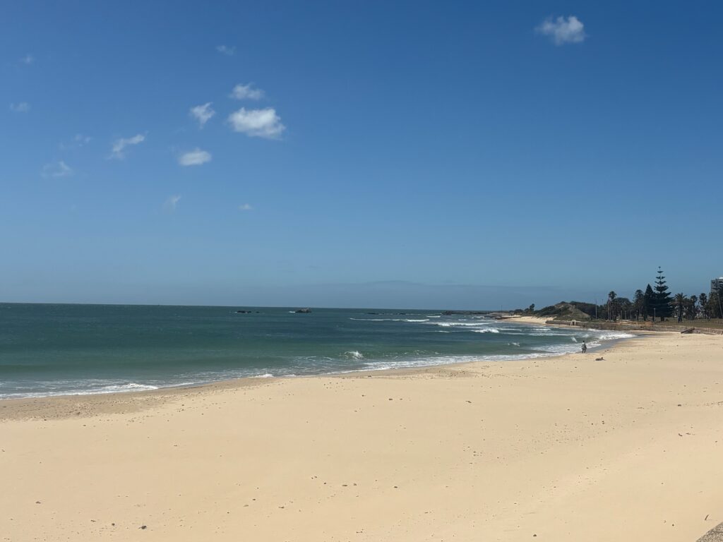 a beach with a body of water and rocks