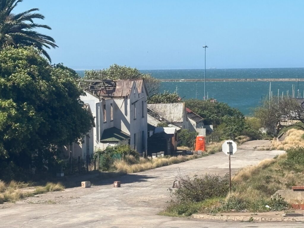 a street with houses and trees by the water
