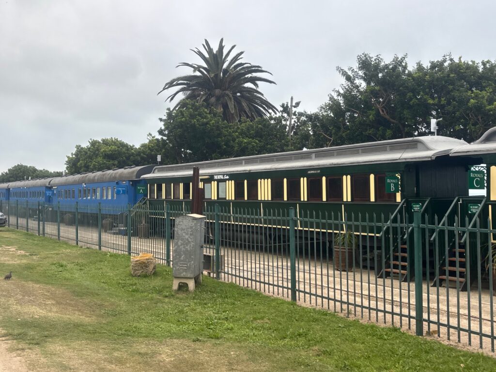 a train on the tracks