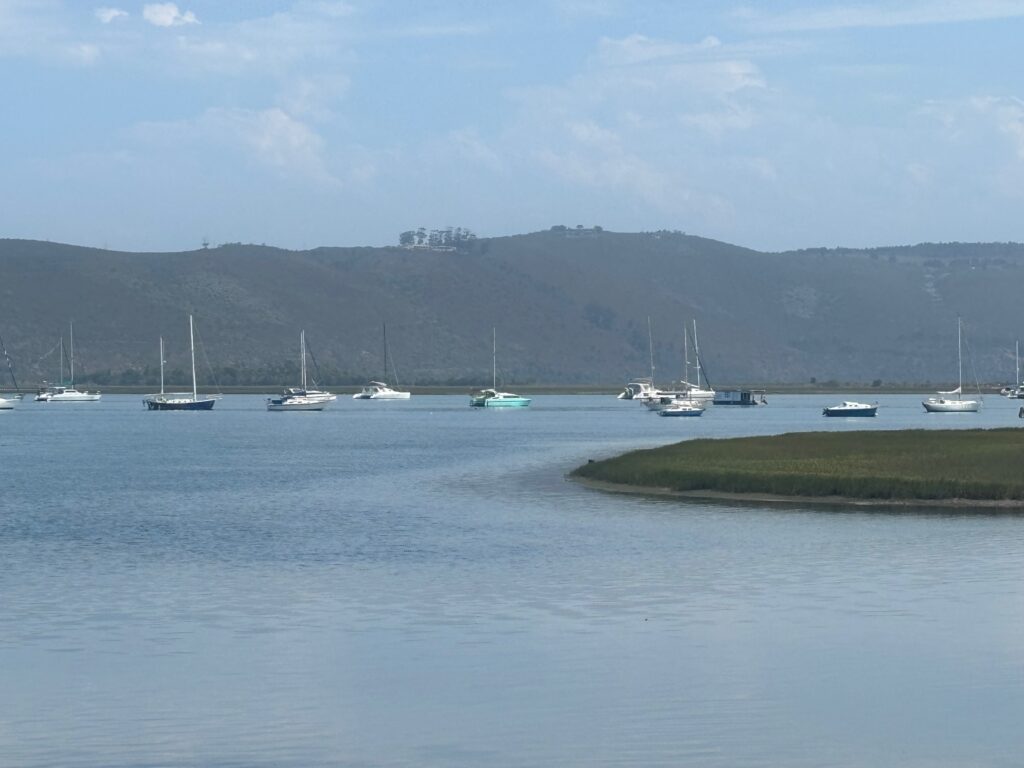 a group of boats in a body of water