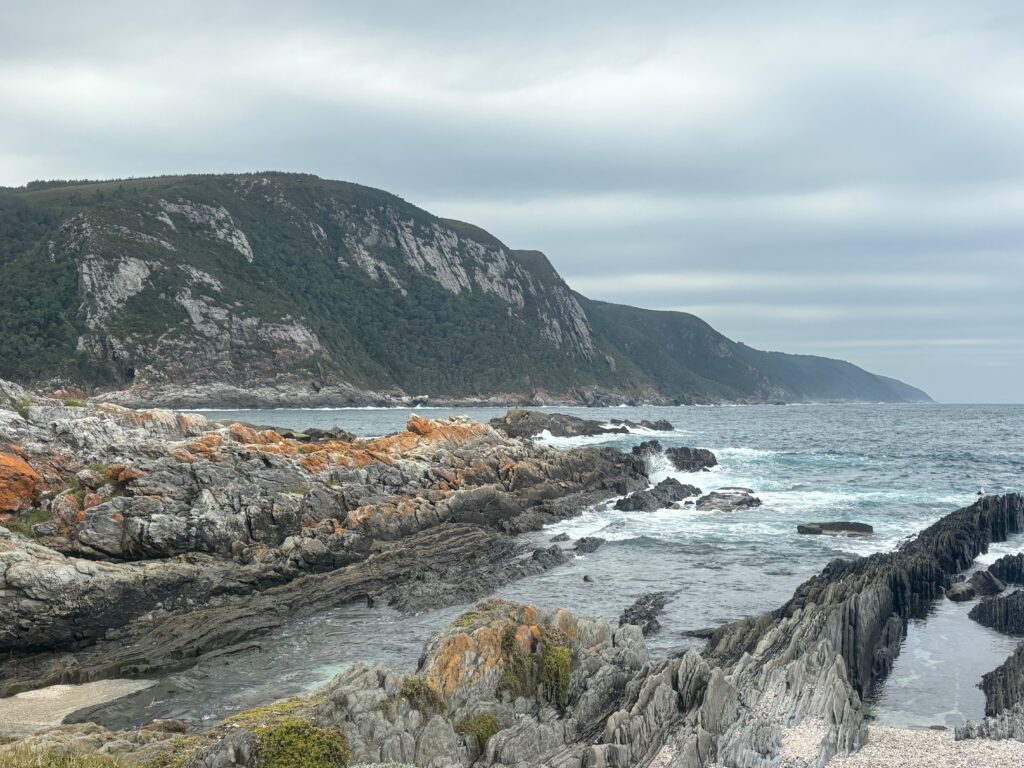 a rocky shore with mountains in the background
