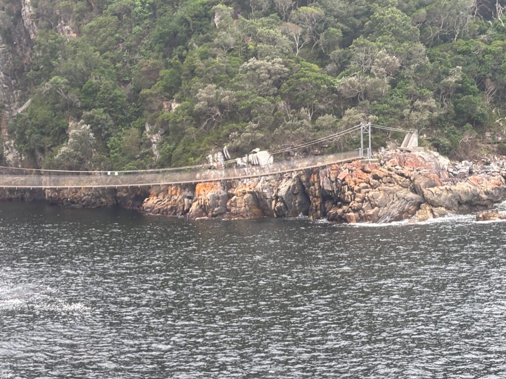 a suspension bridge over water