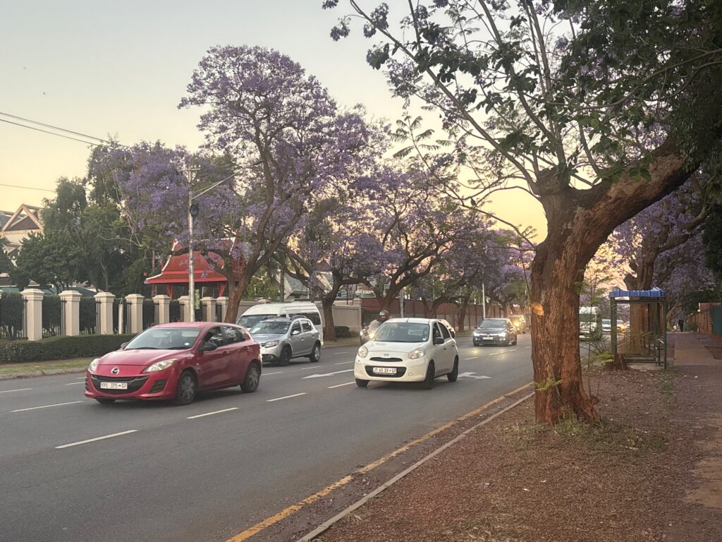 a street with cars and trees