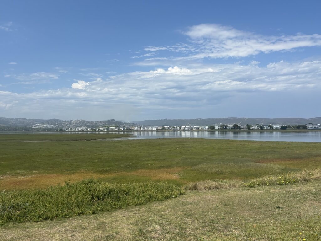 a grassy field with a body of water and buildings in the distance