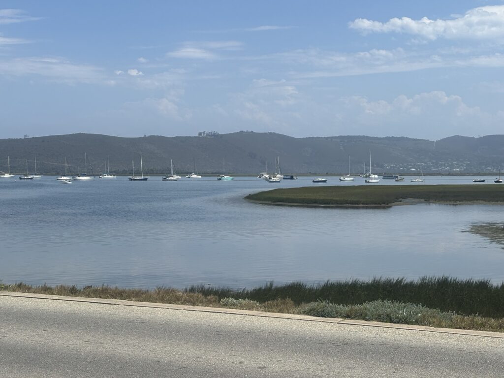 a group of boats in a body of water