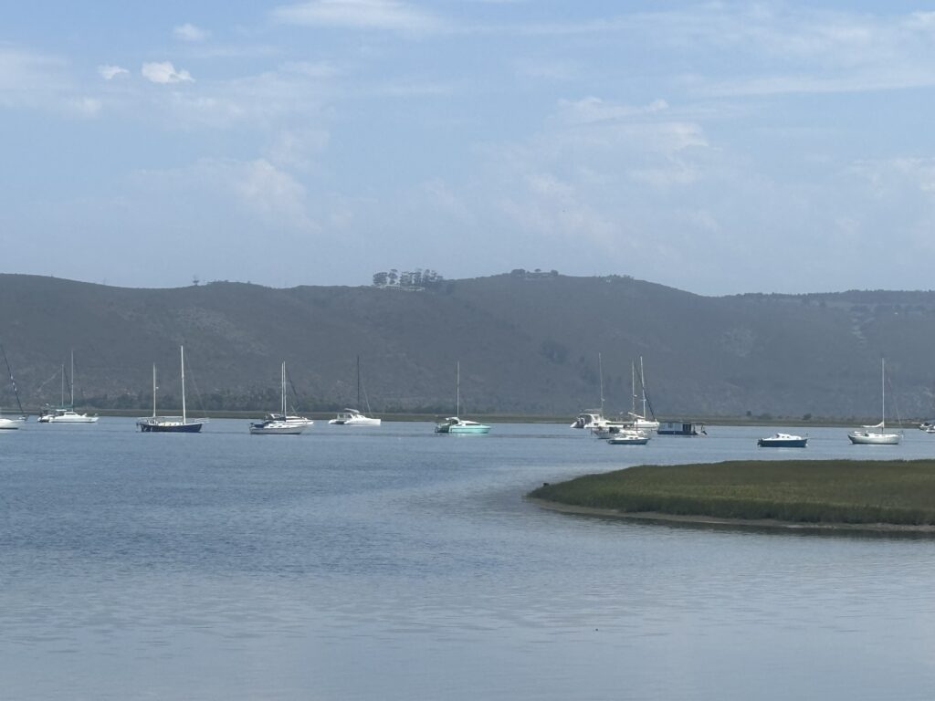 a group of boats in a bay
